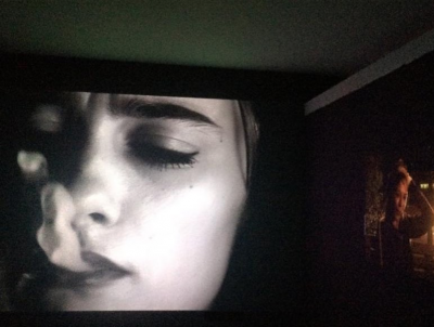 Akerman-serralves.png